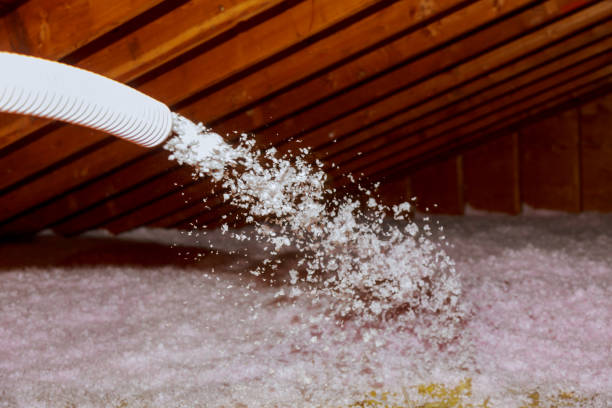 Best Specialized Insulation Services in Ocklawaha, FL
