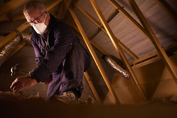 Best Spray Foam Insulation in Ocklawaha, FL